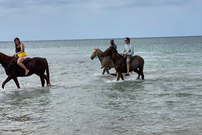 Horseback Riding and Swimming in Ocho Rios - Explore Ocho Rios