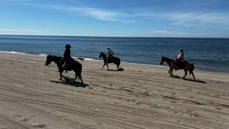 Horseback riding and Temazcal combo with lunch and mezcal - Final Thoughts