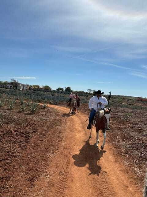 Horseback riding and Temazcal combo with lunch and mezcal - FAQ