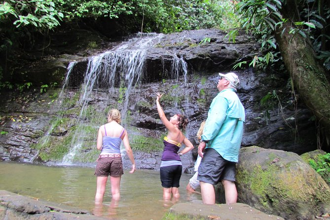 Horseback Riding and Waterfalls From Manuel Antonio - Key Points