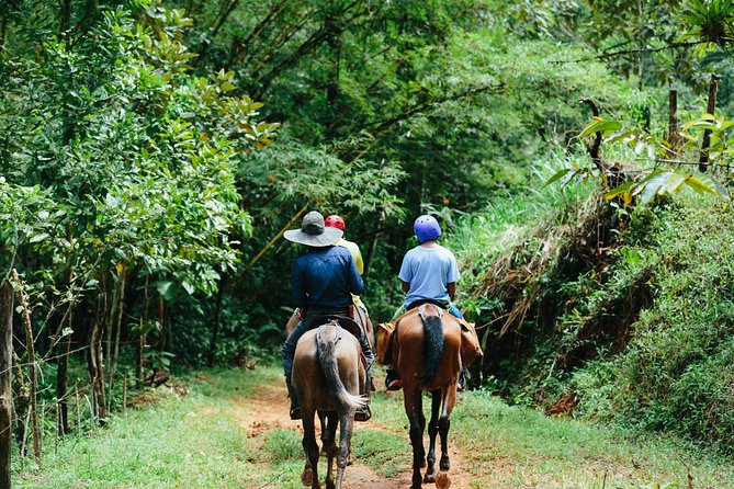 Horseback Riding and Waterfalls From Manuel Antonio - Highlights of the Experience