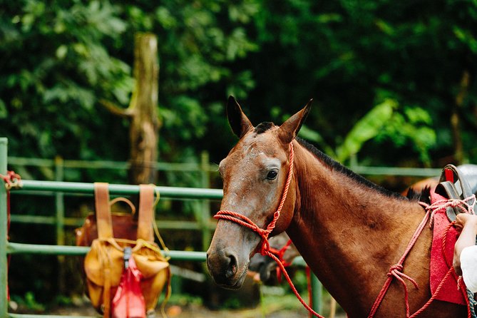 Horseback Riding and Waterfalls From Manuel Antonio - Exploring the Botanical Garden