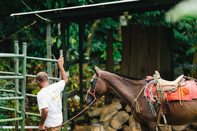 Horseback Riding and Waterfalls From Manuel Antonio - Savoring the Costa Rican Meal