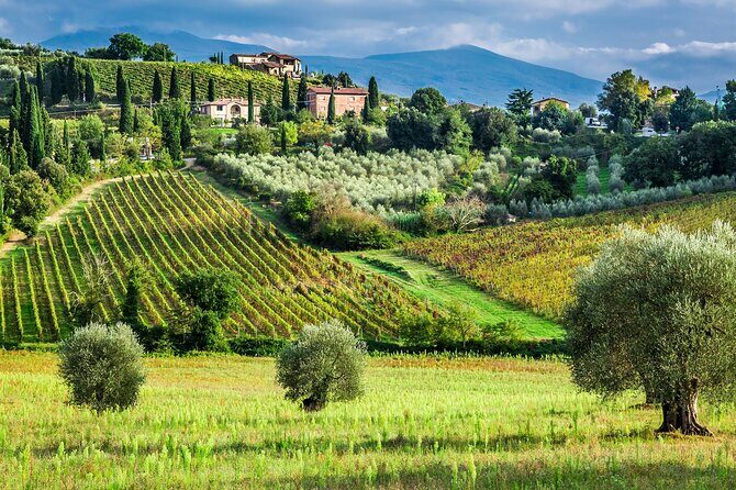 Horseback Riding and Wine Tasting Tour - What to Expect from the Tour