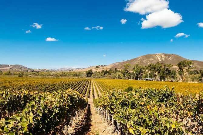 Horseback Riding and Wine Tasting Tour - The Sum Up: Who Will Love This Tour?