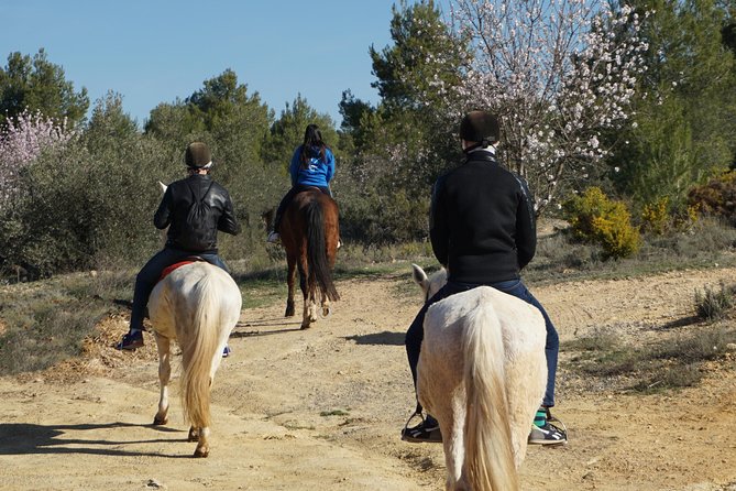 Horseback Riding and Wine Tour - Safety and Requirements
