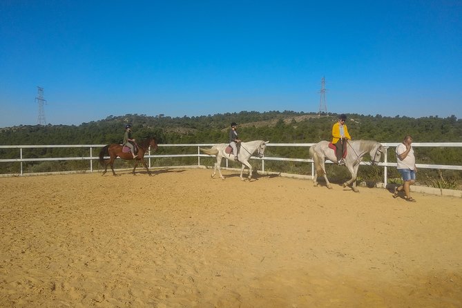 Horseback Riding and Wine Tour - Booking Information