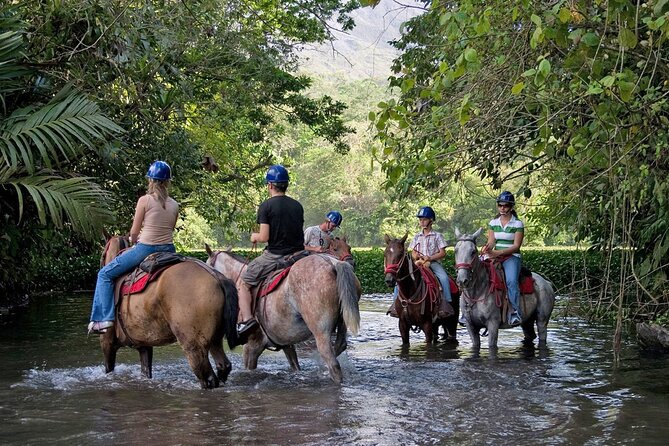 Horseback Riding Around Arenal Volcano Base - Reviews and Feedback