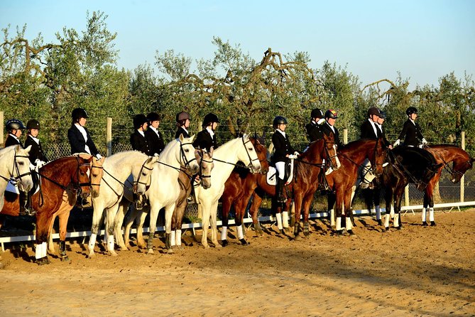 Horseback Riding Around Doñana - Scenic Horseback Riding Routes