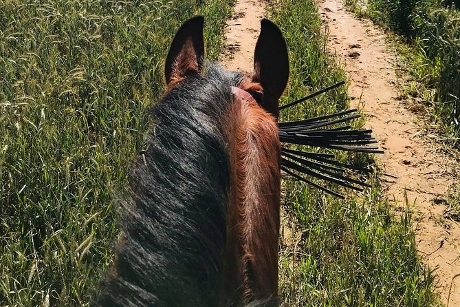 Horseback Riding Around Doñana - Refreshing Post-Ride Experience