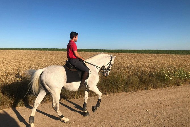 Horseback Riding Around Doñana - Accessible and Inclusive Tour