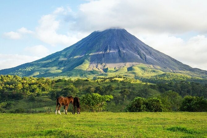 Horseback Riding at Arenal Volcano Foothills - Participation Requirements