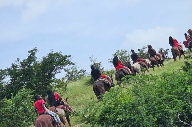 Horseback Riding at Hawksbill Beach in Five islands Antigua - Why This Tour Is Worth Considering