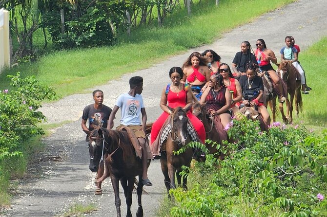 Horseback Riding at Hawksbill Beach in Five Islands Antigua - Positive Traveler Reviews