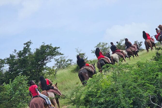 Horseback Riding at Hawksbill Beach in Five Islands Antigua - Picturesque Scenic Rides