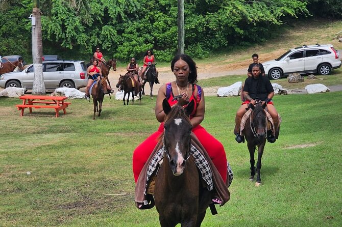 Horseback Riding at Hawksbill Beach in Five Islands Antigua - Personalized Guided Service