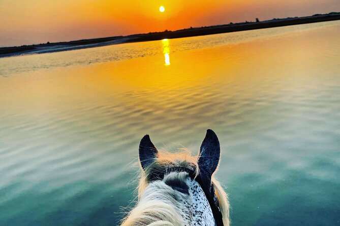Horseback Riding at Sunrise 3h - Highlights and Reviews