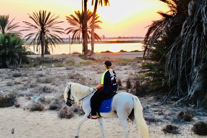 Horseback Riding at Sunrise 3h - Inclusion and Restrictions