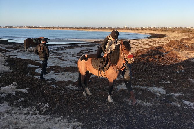 Horseback Riding at Sunrise 3h - Preparing for the Ride
