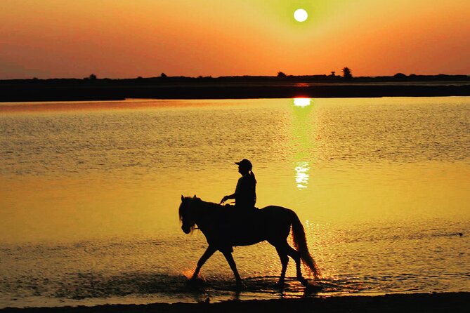 Horseback Riding at Sunrise 3h - The Horseback Riding Experience
