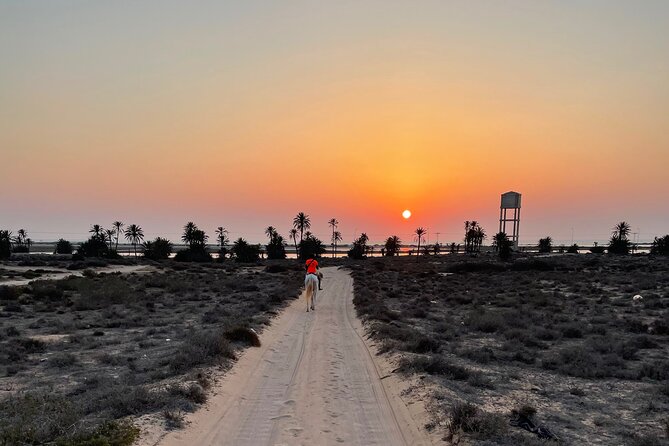 Horseback Riding at Sunrise 3h - Frequently Asked Questions