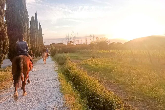 Horseback Riding at Sunset 1 Hour at the Certosa Di Pisa - Transportation and Shuttle Service