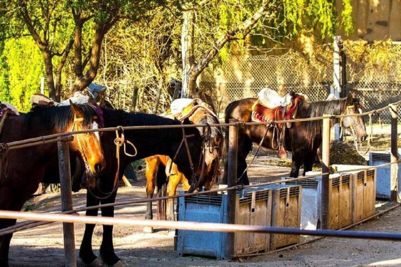 Horseback Riding at Sunset and Dinner in Mendoza - Recommended Attire