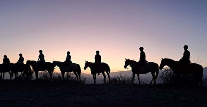 Horseback Riding at Sunset and Dinner in Mendoza - Vegetarian and Dietary Options