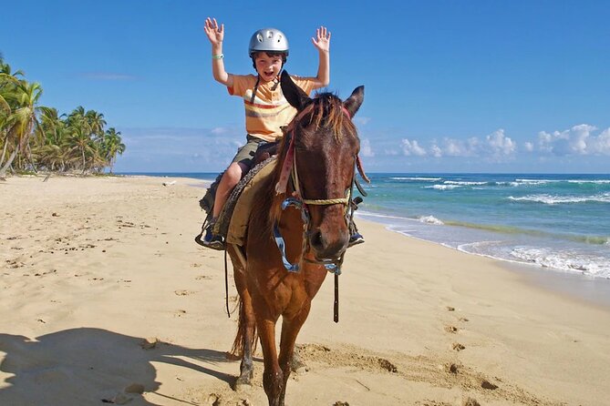 Horseback Riding at the Beach in Punta Cana - Accessibility and Participation