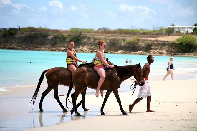 Horseback Riding, ATV & Blue Hole (Land & Sea) From Falmouth - About Your Stay