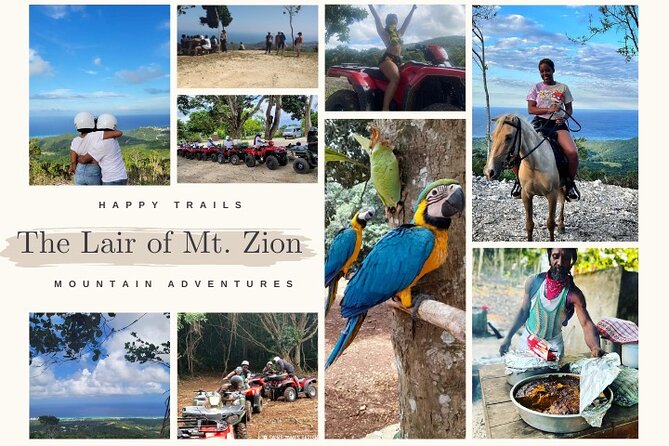 Horseback Riding, ATV & More in the Mountains of Montego Bay - About Your Stay