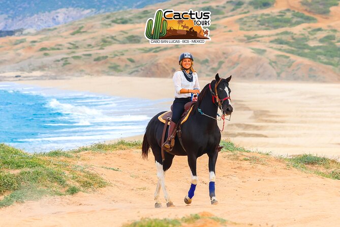 Horseback Riding Beach and Desert in Cabo by Cactus Tours Park - Accessibility and Recommendations
