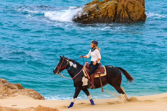 Horseback Riding Beach and Desert in Cabo by Cactus Tours Park - Reviews and Feedback