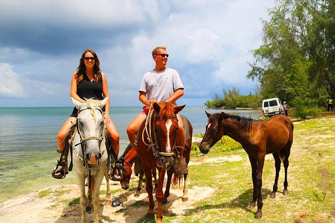 Horseback Riding, Beach With Palapa and Transfer - Key Points