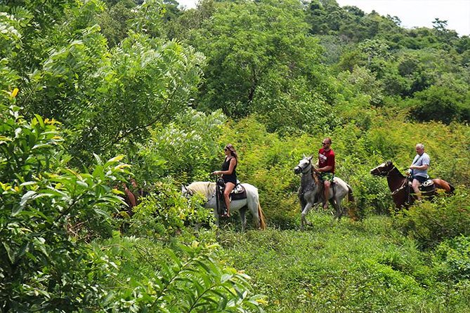 Horseback Riding, Beach With Palapa and Transfer - Tour Overview