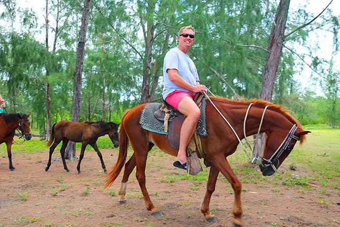 Horseback Riding, Beach With Palapa and Transfer - Private Beach Retreat