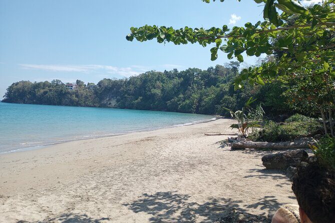 Horseback riding, Blue hole or Dunn's River Combo - Practical Tips for Participants