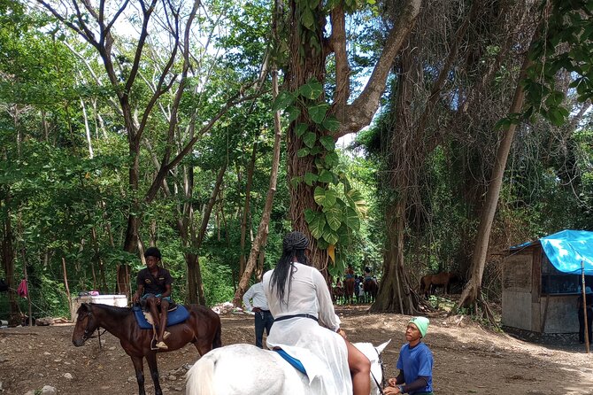 Horseback Riding, Blue Hole or Dunns River Combo - Health and Safety Information