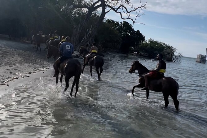 Horseback Riding , Blue Hole Secret Falls & River Tubing Combo - Seamless Transportation and Logistics