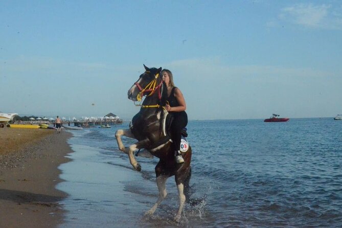 Horseback Riding by Beach or Forest in Manavgat Side - Enchanting Forest Routes