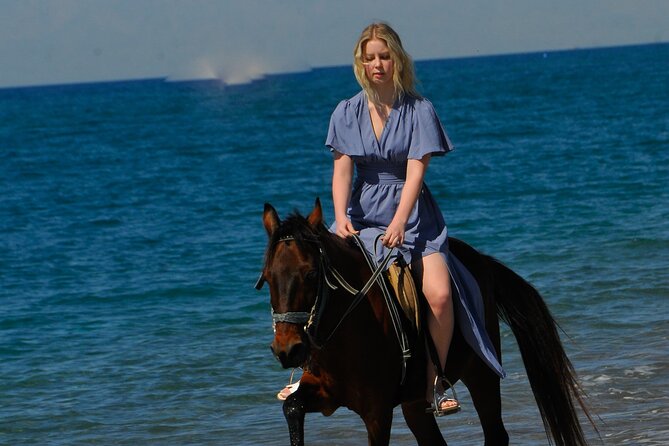 Horseback Riding by Beach or Forest in Manavgat Side - Tour Provider Details