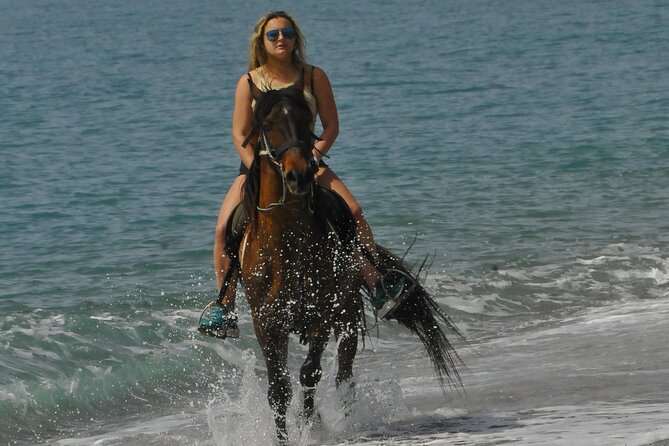 Horseback Riding by Beach or Forest in Manavgat Side - Customer Experiences and Reviews