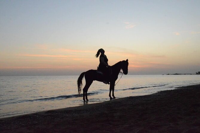 Horseback Riding by Beach or Forest in Manavgat Side - Participation Guidelines