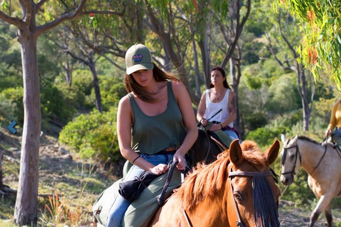 Horseback Riding by the Beach or Mountain in Tarifa, Spain - 1 to 2 Hrs - Exploring the Terrain and Wildlife