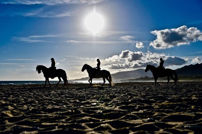 Horseback Riding by the Beach or Mountain in Tarifa, Spain - 1 to 2 Hrs - Meeting Location and Logistics