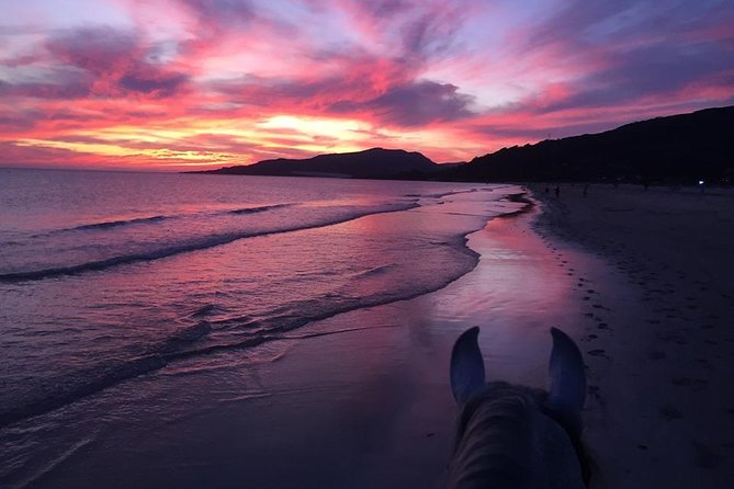 Horseback Riding by the Beach or Mountain in Tarifa, Spain - 1 to 2 Hrs - Warm Weather for Year-Round Riding