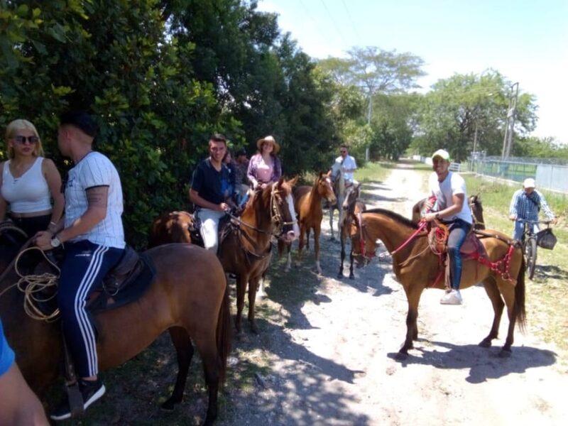 Horseback Riding Caldas Antioquia All Inclusive - Inclusions