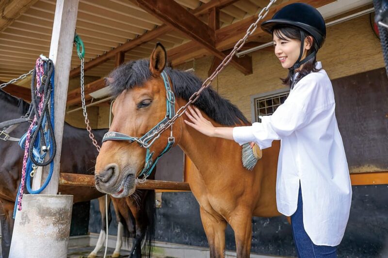 Horseback Riding Club to Learn About Connecting Lives - Learn From Experienced Instructors