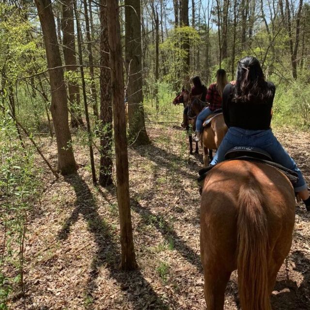 Horseback Riding, Country Bufet and Live Music - Educational Horseback Experience