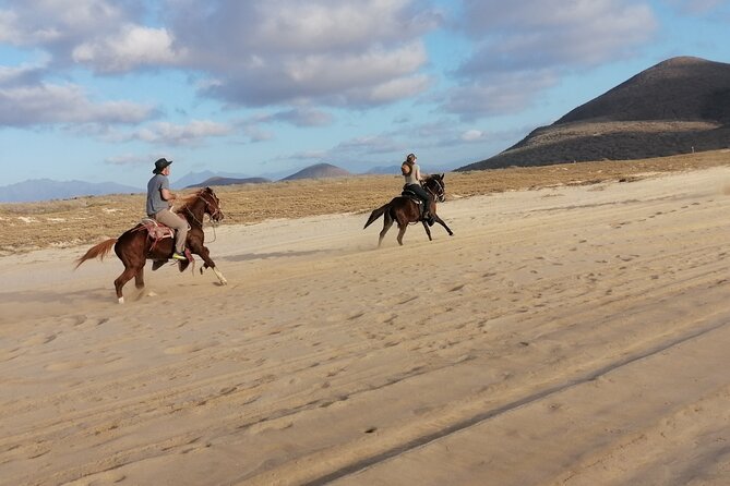 Horseback Riding - Reviews and Ratings